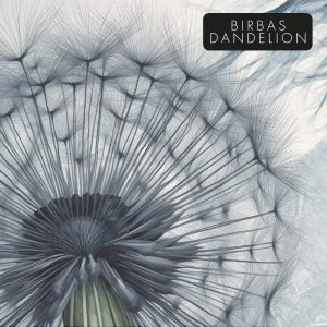 Birbas - Dandelion
