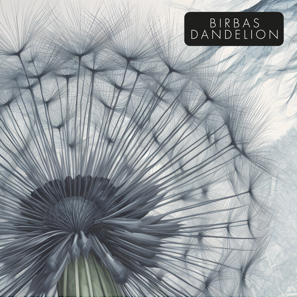 Birbas - Dandelion